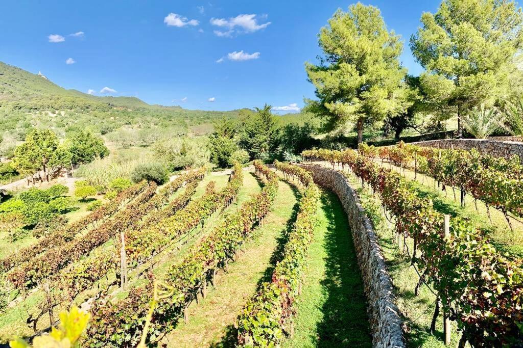 Es Castell De Ca N'Alou De Ses Cases Noves S'Horta Exterior foto